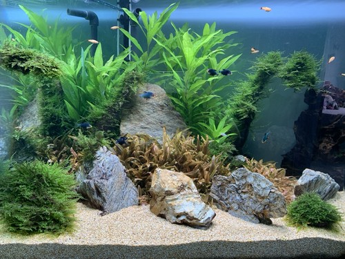 Acquario 300litri completo