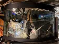 acquario 300 Litri Angolare