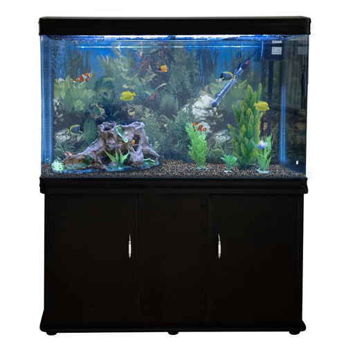Acquario 300 litri con - 300,