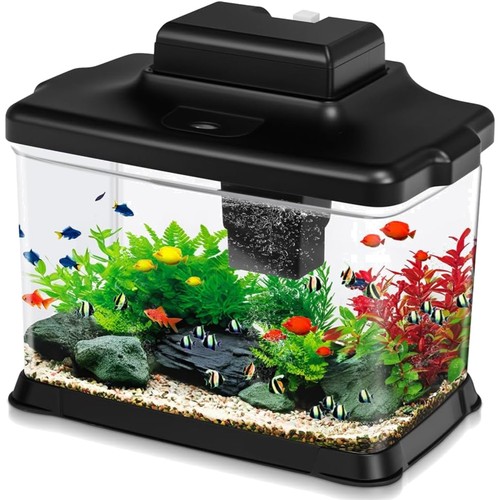 Piccolo acquario trasparente