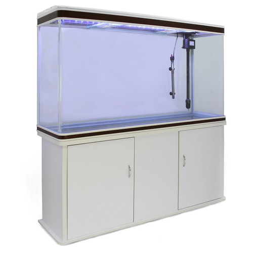 Acquario per pesci acqua - acquario,