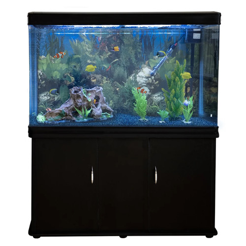 Acquario 300 litri con - acquario,