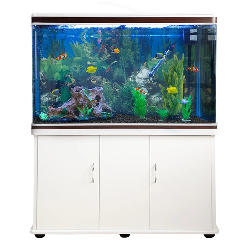 Acquario 300 litri con - acquario,